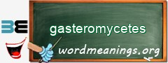 WordMeaning blackboard for gasteromycetes